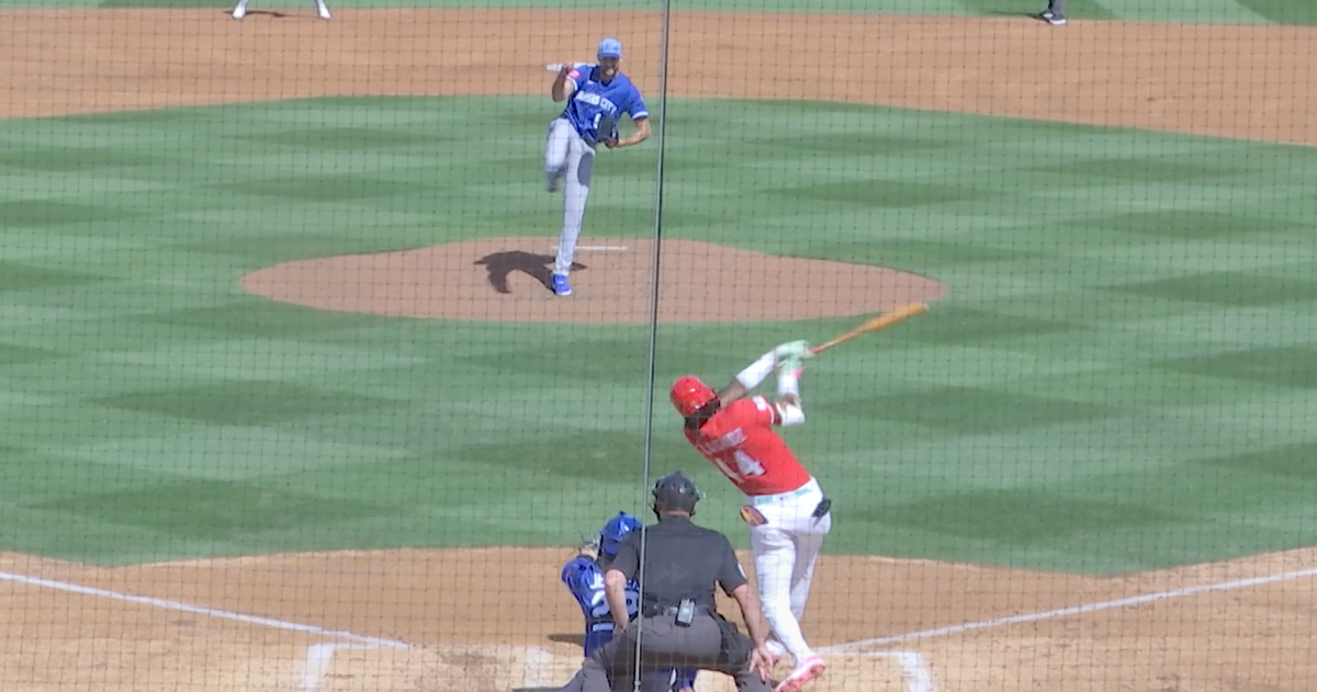 Who can avoid the bats?